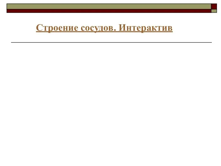 Строение сосудов. Интерактив