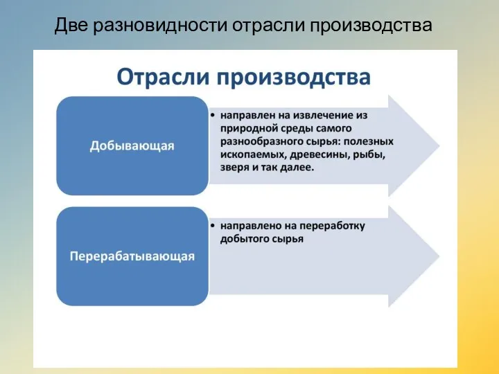 Две разновидности отрасли производства