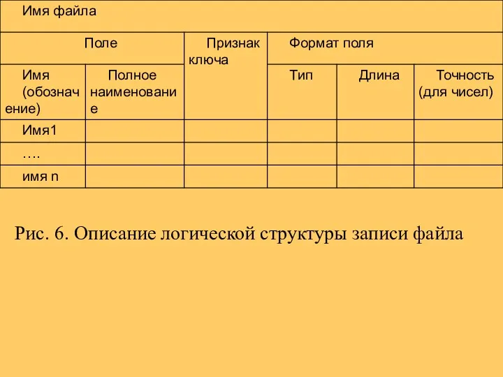 Рис. 6. Описание логической структуры записи файла