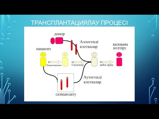 ТРАНСПЛАНТАЦИЯЛАУ ПРОЦЕСІ