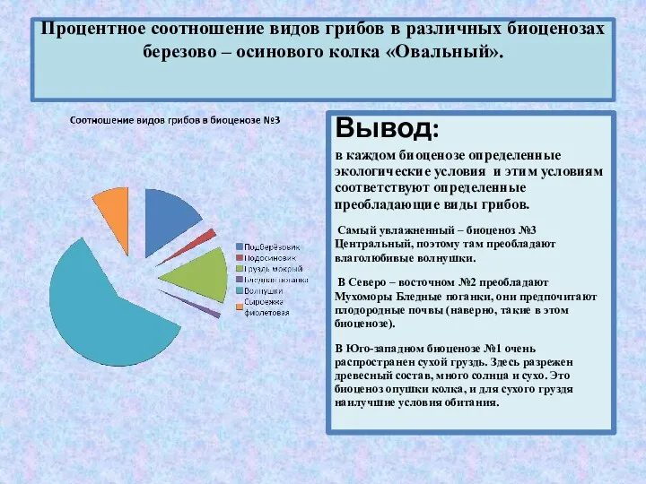 Процентное соотношение видов грибов в различных биоценозах березово – осинового