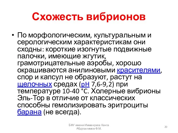 Схожесть вибрионов По морфологическим, культуральным и серологическим характеристикам они сходны: