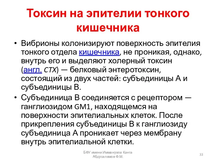 Токсин на эпителии тонкого кишечника Вибрионы колонизируют поверхность эпителия тонкого