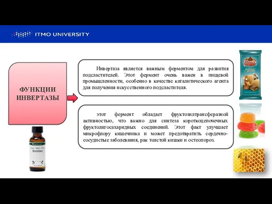 ФУНКЦИИ ИНВЕРТАЗЫ Инвертаза является важным ферментом для развития подсластителей. Этот