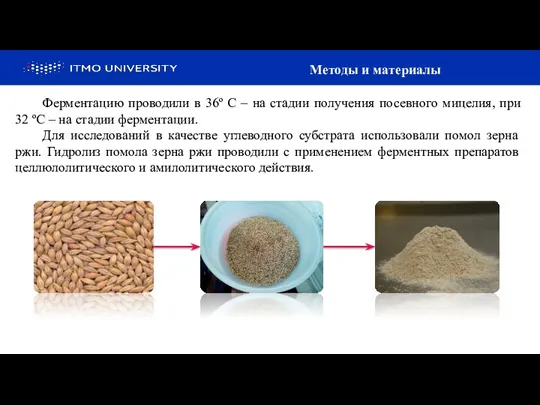 Методы и материалы Ферментацию проводили в 36º С – на