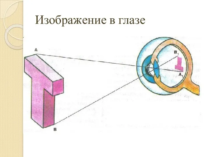 Изображение в глазе