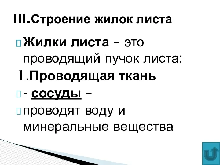 Жилки листа – это проводящий пучок листа: 1.Проводящая ткань -