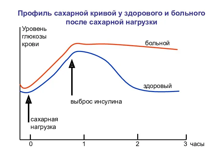 здоровый больной сахарная нагрузка выброс инсулина Уровень глюкозы крови часы