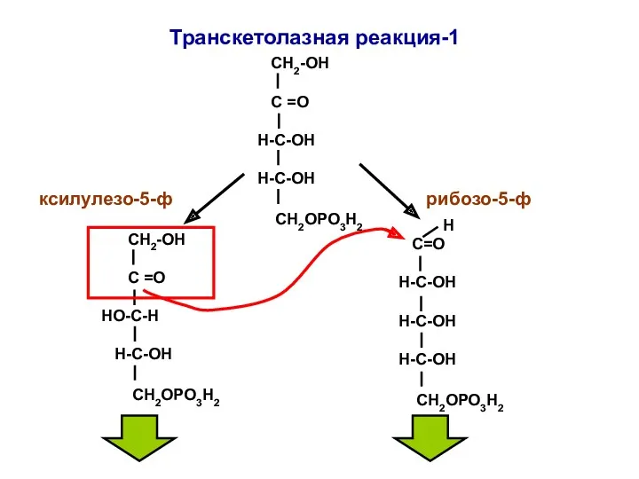 СН2-ОН С =О Н-С-ОН H-C-ОН СН2ОРО3Н2 СН2-ОН С =О НО-С-Н