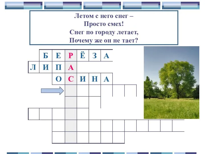 Летом с него снег – Просто смех! Снег по городу летает, Почему же он не тает?