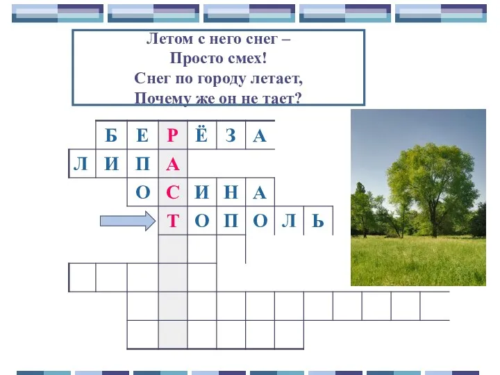 Летом с него снег – Просто смех! Снег по городу летает, Почему же он не тает?