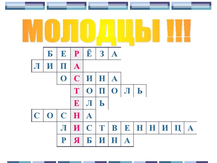 МОЛОДЦЫ !!!