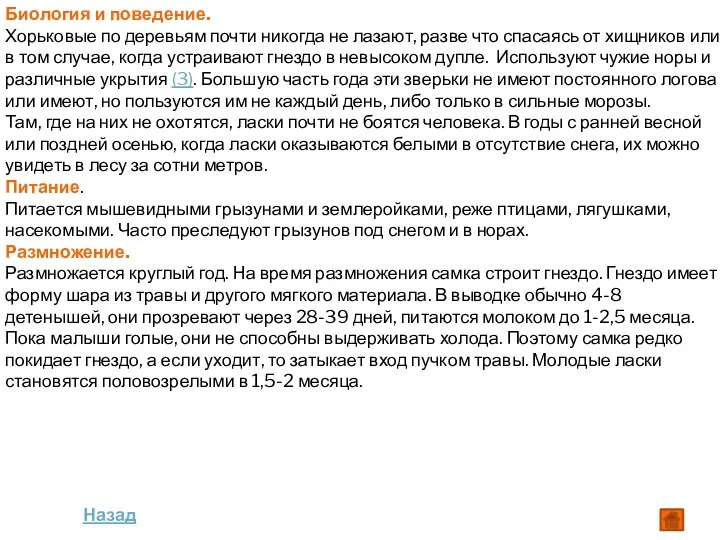 Биология и поведение. Хорьковые по деревьям почти никогда не лазают,