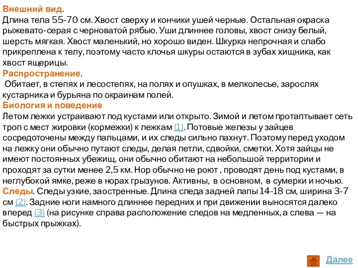 Внешний вид. Длина тела 55-70 см. Хвост сверху и кончики