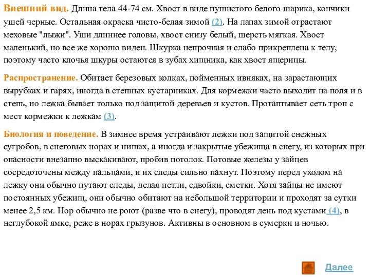 Внешний вид. Длина тела 44-74 см. Хвост в виде пушистого