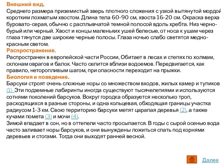 Внешний вид. Среднего размера приземистый зверь плотного сложения с узкой