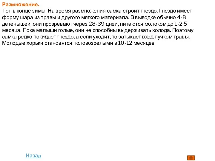 Размножение. Гон в конце зимы. На время размножения самка строит