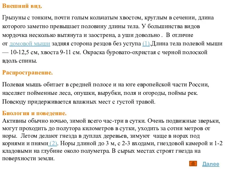 Внешний вид. Грызуны с тонким, почти голым кольчатым хвостом, круглым