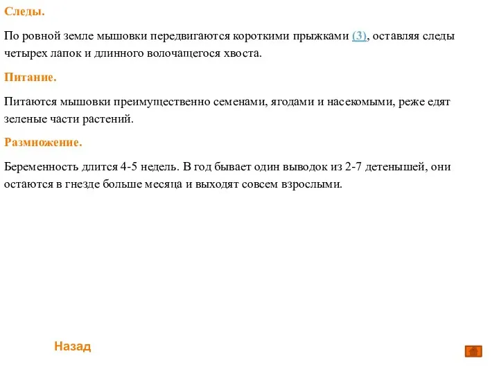 Следы. По ровной земле мышовки передвигаются короткими прыжками (3), оставляя