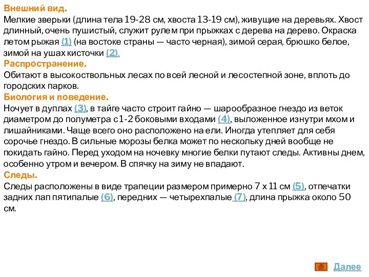 Внешний вид. Мелкие зверьки (длина тела 19-28 см, хвоста 13-19