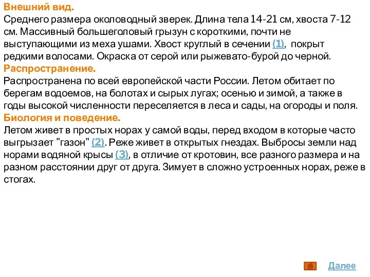 Внешний вид. Среднего размера околоводный зверек. Длина тела 14-21 см,