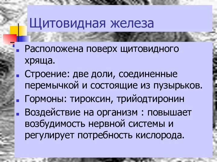 Щитовидная железа Расположена поверх щитовидного хряща. Строение: две доли, соединенные