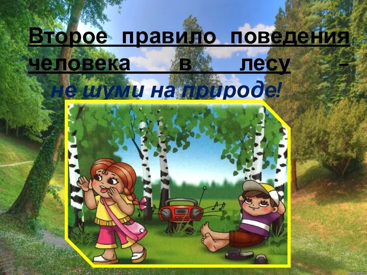 Второе правило поведения человека в лесу – не шуми на природе!