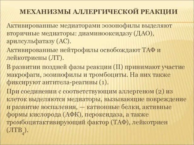 МЕХАНИЗМЫ АЛЛЕРГИЧЕСКОЙ РЕАКЦИИ Активированные медиаторами эозонофилы выделяют вторичные медиаторы: диаминооксидазу