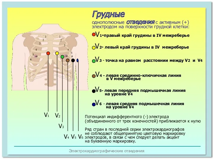 Электрокардиографические отведения 1 2 4 5 6 1 2 3