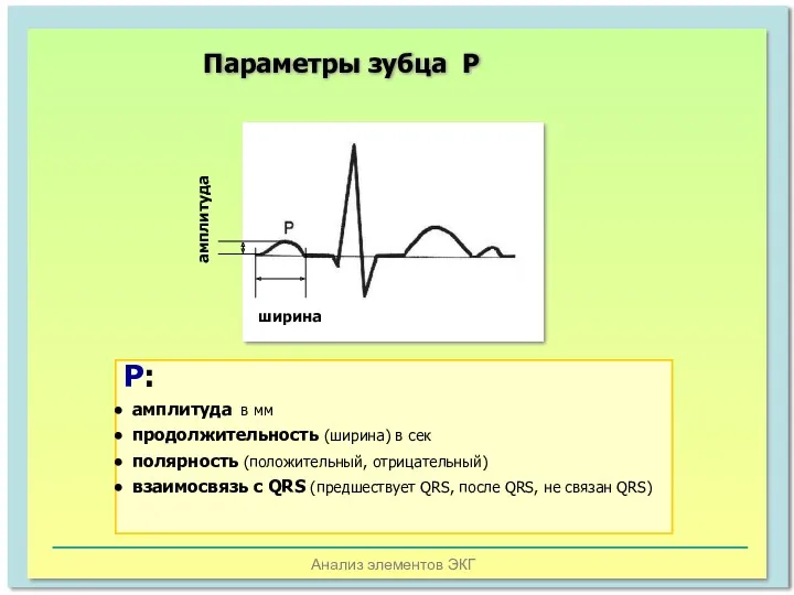 Анализ элементов ЭКГ амплитуда ширина Р: амплитуда в мм продолжительность