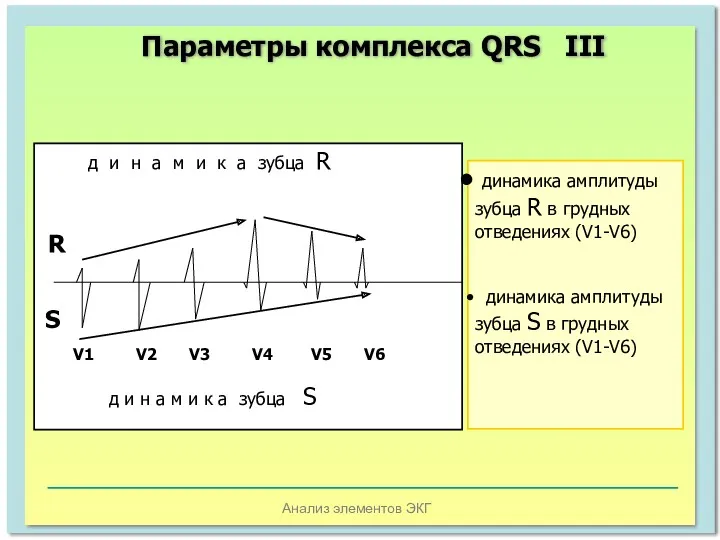Анализ элементов ЭКГ д и н а м и к