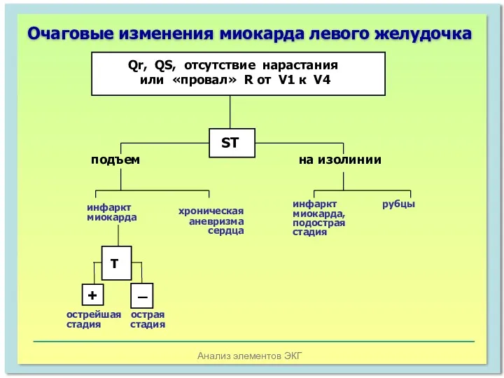 Анализ элементов ЭКГ Очаговые изменения миокарда левого желудочка Т + _ острейшая стадия острая стадия