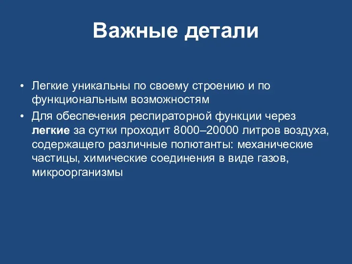 Важные детали Легкие уникальны по своему строению и по функциональным