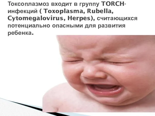 Токсоплазмоз входит в группу TORCH-инфекций ( Toxoplasma, Rubella, Cytomegalovirus, Herpes), считающихся потенциально опасными для развития ребенка.