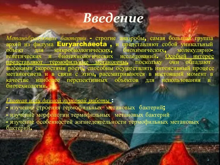 Метанобразующие бактерии - строгие анаэробы, самая большая группа архей из