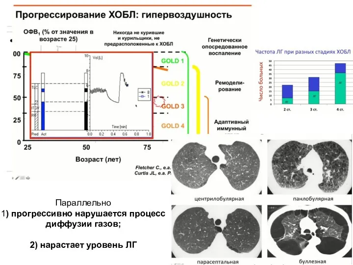 Параллельно 1) прогрессивно нарушается процесс диффузии газов; 2) нарастает уровень ЛГ