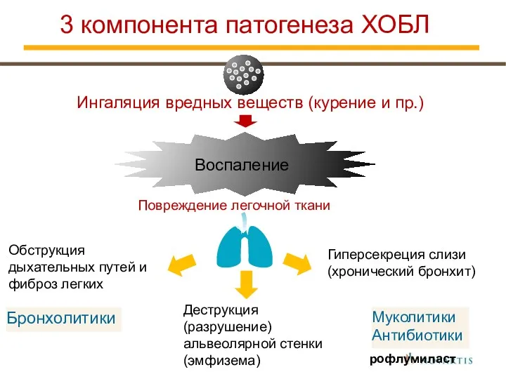 3 компонента патогенеза ХОБЛ Муколитики Антибиотики Бронхолитики Ингаляция вредных веществ