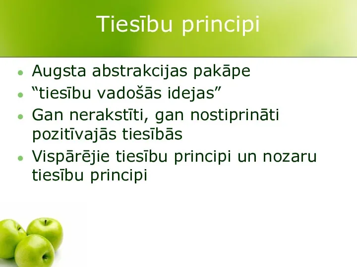 Tiesību principi Augsta abstrakcijas pakāpe “tiesību vadošās idejas” Gan nerakstīti,