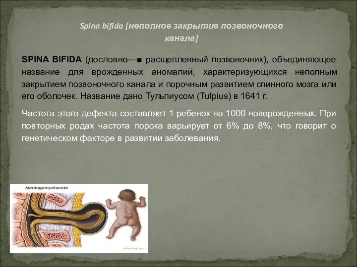 Spina bifida [неполное закрытие позвоночного канала] SPINA BIFIDA (дословно—■ расщепленный