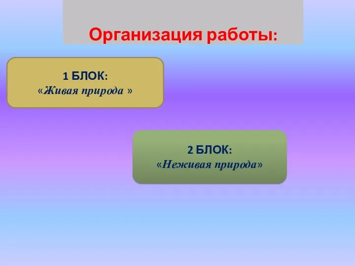 Организация работы: 1 БЛОК: «Живая природа » 2 БЛОК: «Неживая природа»