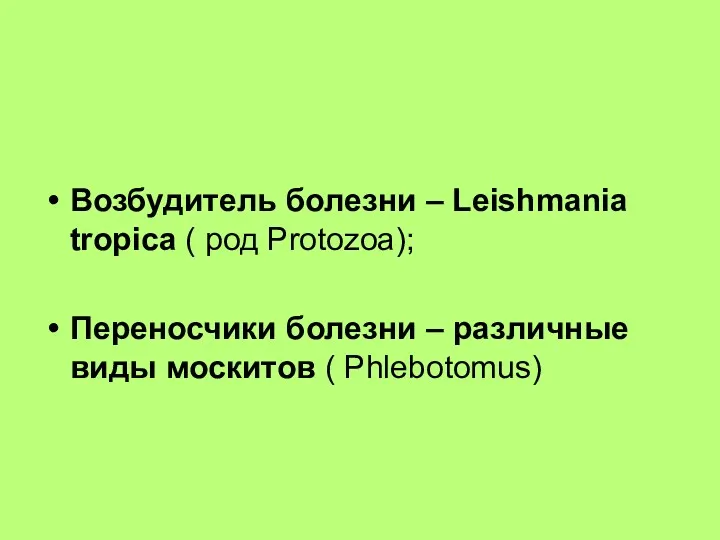 Возбудитель болезни – Leishmania tropica ( род Protozoa); Переносчики болезни – различные виды москитов ( Phlebotomus)