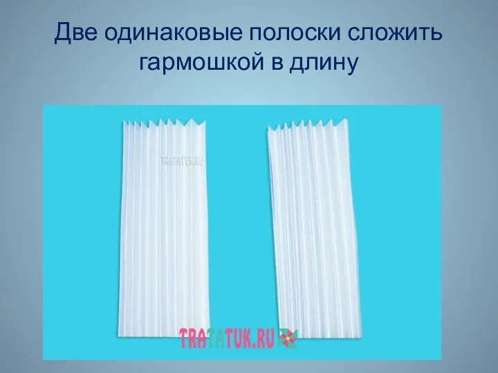 Две одинаковые полоски сложить гармошкой в длину