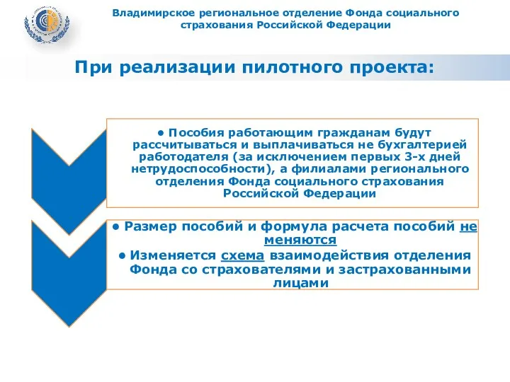 При реализации пилотного проекта: Владимирское региональное отделение Фонда социального страхования Российской Федерации