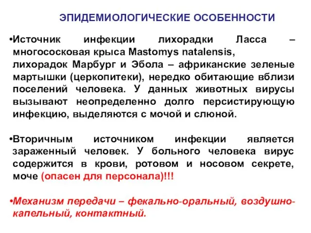 ЭПИДЕМИОЛОГИЧЕСКИЕ ОСОБЕННОСТИ Источник инфекции лихорадки Ласса – многососковая крыса Mastomys