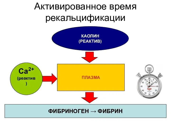 Активированное время рекальцификации ПЛАЗМА ФИБРИНОГЕН → ФИБРИН Ca2+ (реактив) КАОЛИН (РЕАКТИВ)