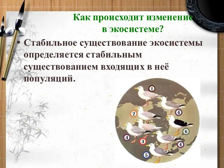 Как происходит изменение в экосистеме? Стабильное существование экосистемы определяется стабильным существованием входящих в неё популяций.