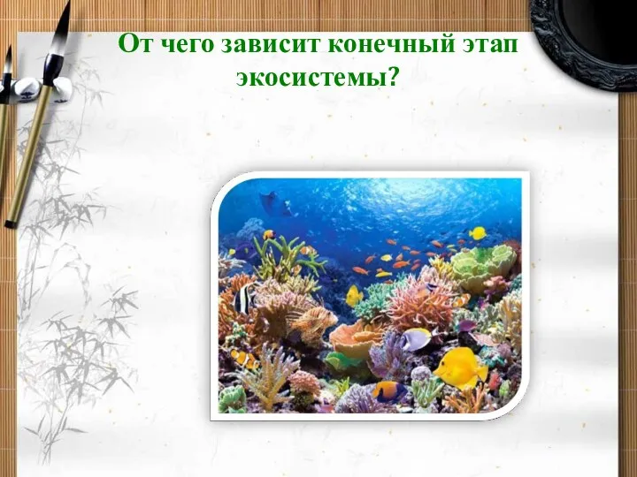 От чего зависит конечный этап экосистемы?