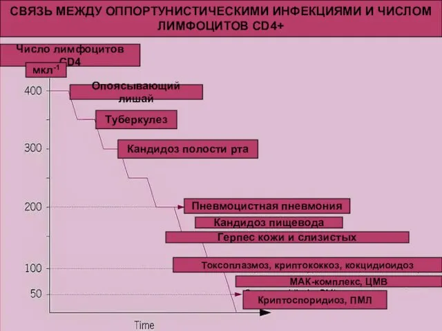 СВЯЗЬ МЕЖДУ ОППОРТУНИСТИЧЕСКИМИ ИНФЕКЦИЯМИ И ЧИСЛОМ ЛИМФОЦИТОВ CD4+ Число лимфоцитов