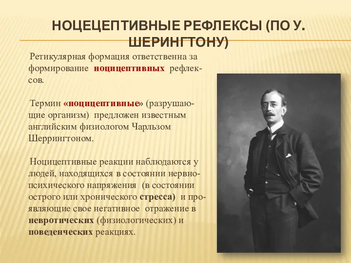 НОЦЕЦЕПТИВНЫЕ РЕФЛЕКСЫ (ПО У.ШЕРИНГТОНУ) Ретикулярная формация ответственна за формирование ноцицептивных