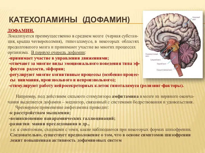 КАТЕХОЛАМИНЫ (ДОФАМИН) ДОФАМИН. Локализуется преимущественно в среднем мозге (черная субстан-